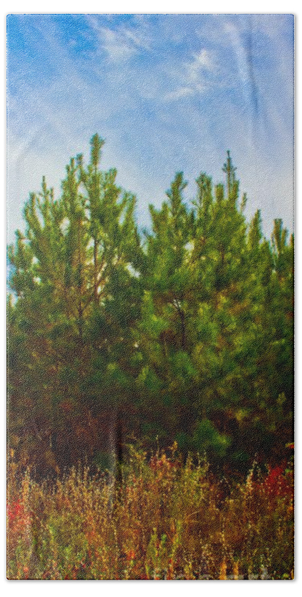 Michael Tidwell Photography Beach Towel featuring the photograph Magical Pines by Michael Tidwell