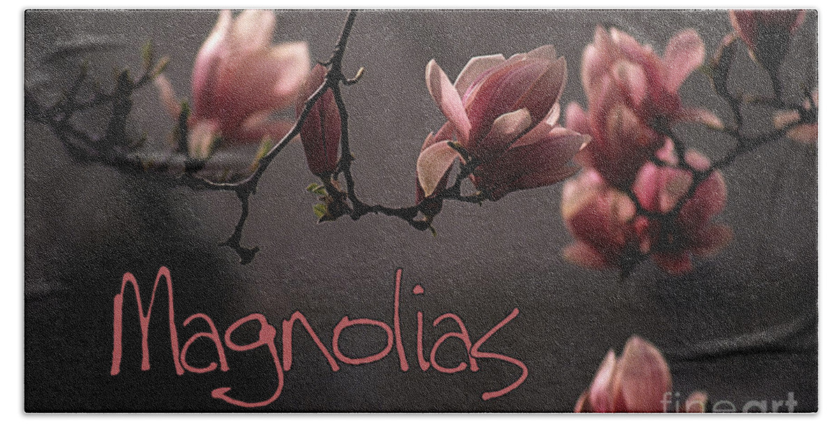Magnolias Beach Towel featuring the photograph Magnolias by Sharon Elliott