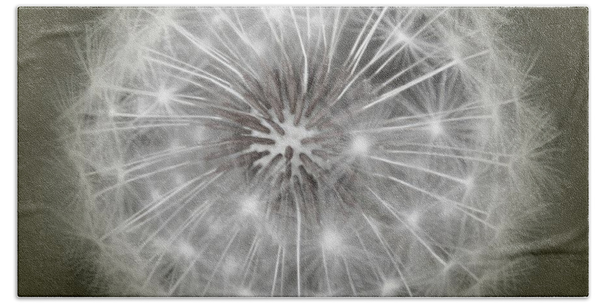 Dandelion Beach Sheet featuring the photograph Make A Wish by Peggy Hughes
