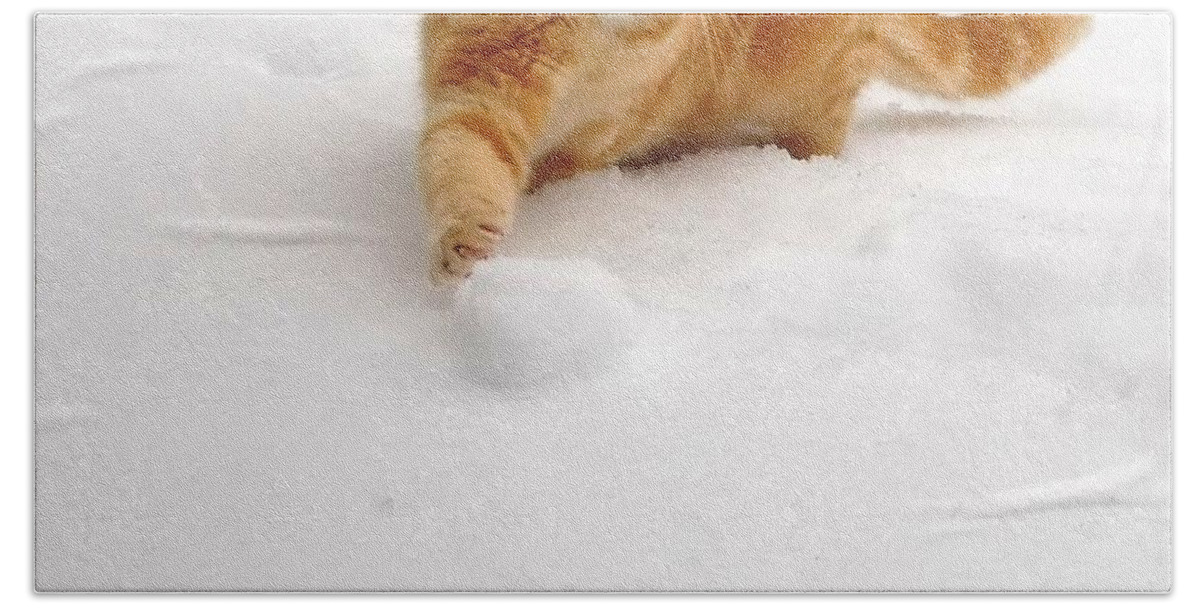 Kitty Cat Beach Towel featuring the digital art Happy Snow Kitty by Matthew Seufer