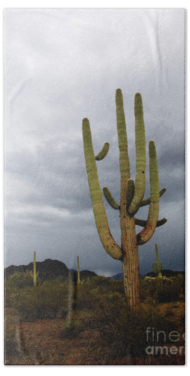 Saguaro Beach Towel featuring the photograph Many Arms by Vivian Christopher
