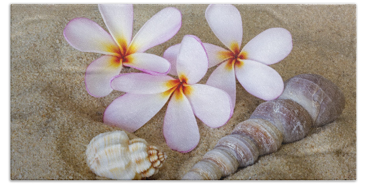 Plumeria Beach Towel featuring the photograph Maui Beach Treasures by Susan Candelario