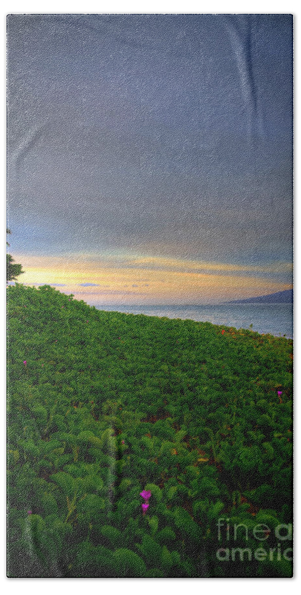 Maui Morning Beach Towel featuring the photograph Maui Morning by Kelly Wade