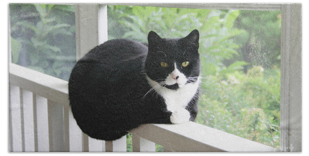 Cat Beach Towel featuring the photograph Max by Patty Colabuono