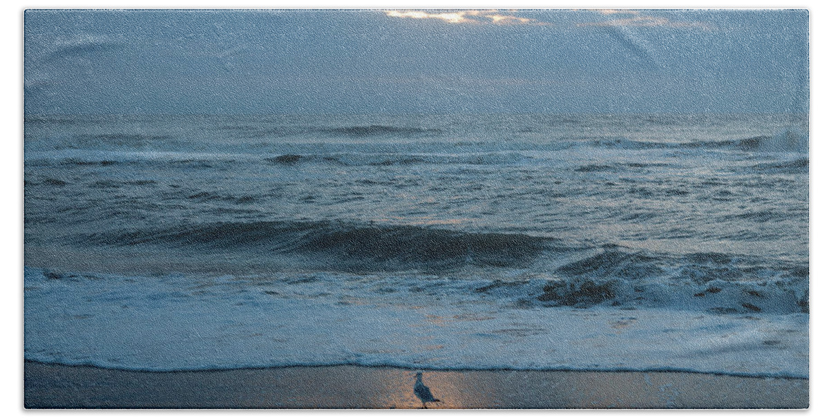 Ocean Beach Sheet featuring the photograph Early Bird by Carol Lynn Coronios