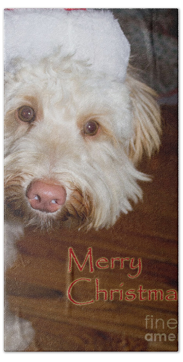 White Beach Towel featuring the photograph Merry Christmas from a Labrdoodle card by Sandra Clark