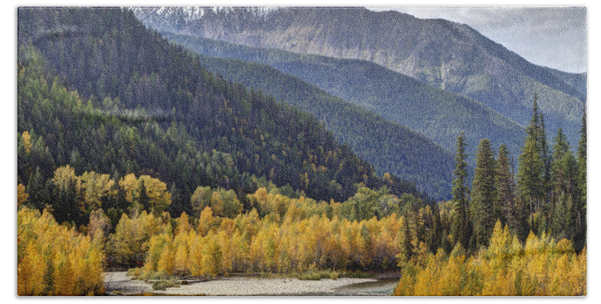 Autumn; Fall; Middle Fork Flathead River; Montana; Mountains; Nature; October; Outdoors; Reflection; River; Water; Yellow; Color; Flathead River; Landscape; Photo; Beautiful; Mark Kiver; Yellow; Sky. Forest; Trees; Aspen; Snow; Clouds Beach Sheet featuring the photograph Middle Fork Brillance by Mark Kiver