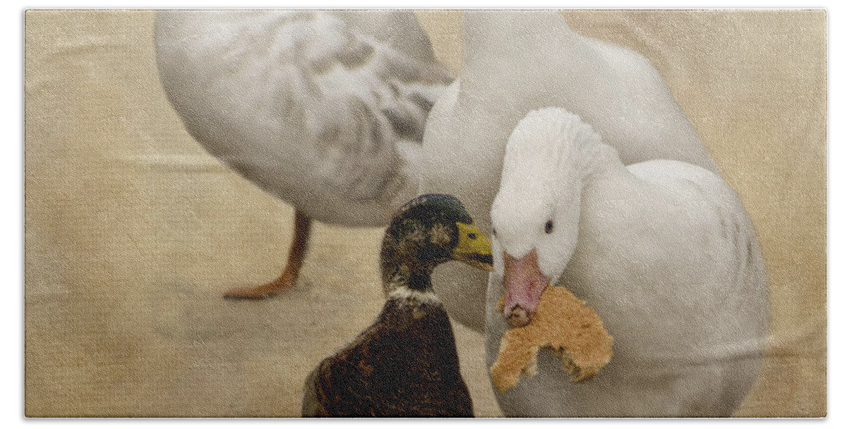 Waterfowl Beach Towel featuring the photograph Mine 3 by Linsey Williams
