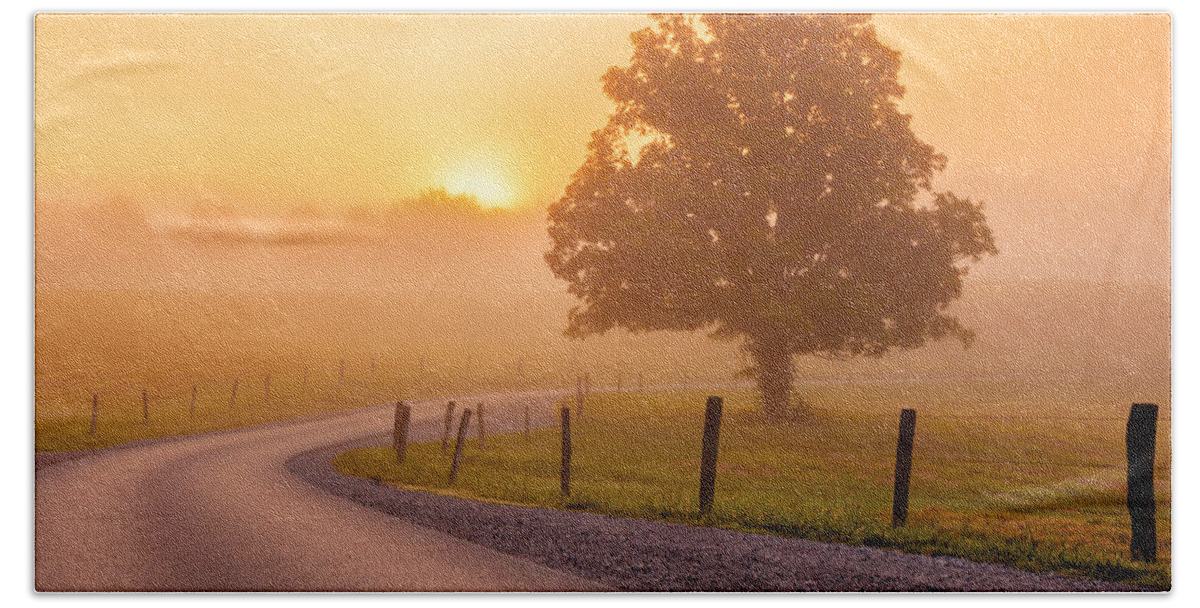 Tree Beach Towel featuring the photograph Misty Morning Sunrise by Keith Allen