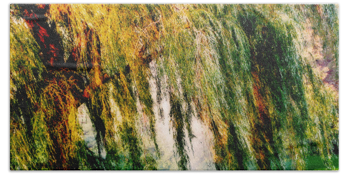 Weeping Willow Beach Towel featuring the photograph Misty Weeping Willow Tree Dreams by Carol F Austin