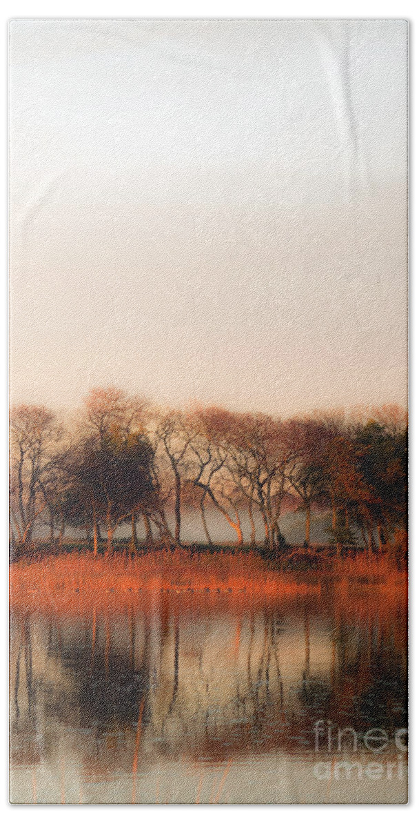 Mist Beach Towel featuring the photograph Misty Winter's Morning by Angela DeFrias