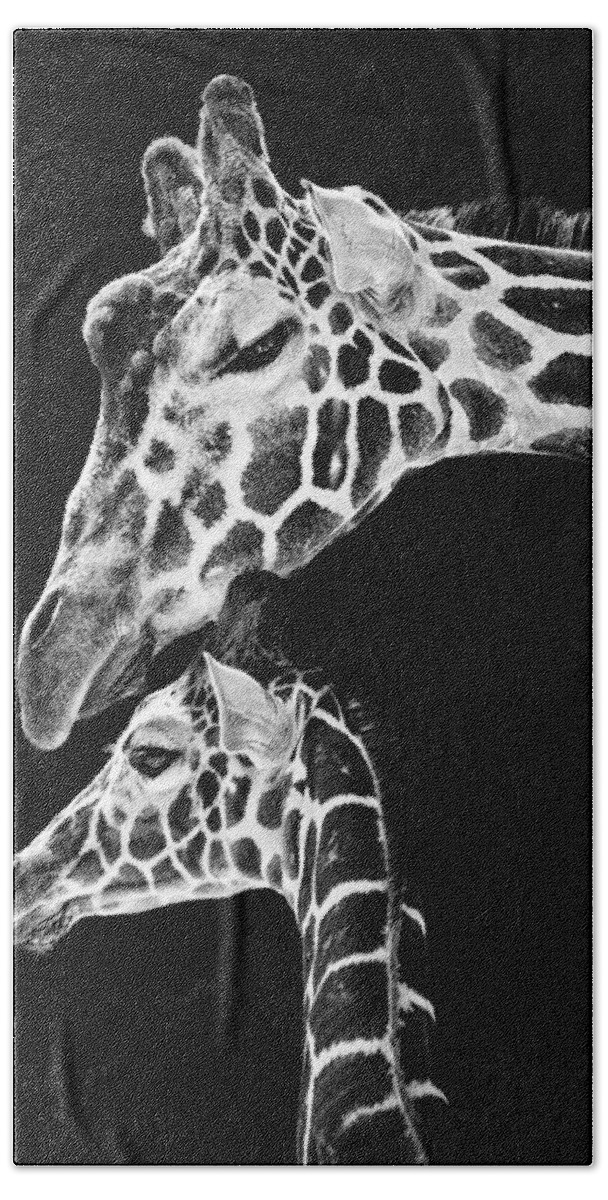 3scape Beach Sheet featuring the photograph Mom and Baby Giraffe by Adam Romanowicz