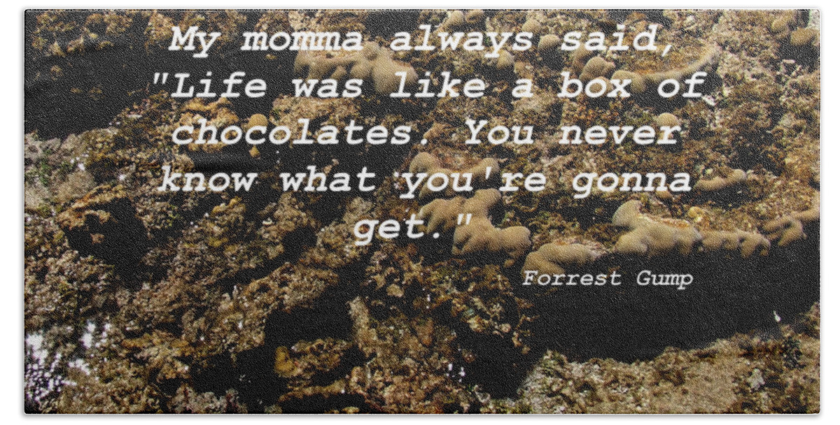 Forrest Beach Towel featuring the photograph Momma by Andrea Anderegg