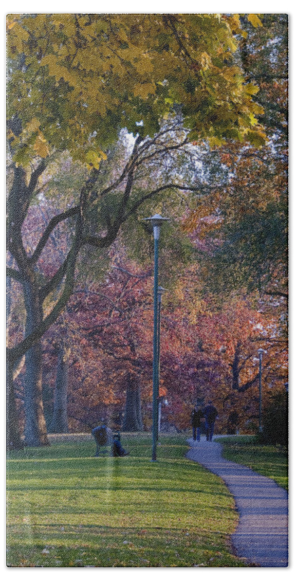Autumn Beach Towel featuring the photograph Monarch Park - 133 by Rick Shea