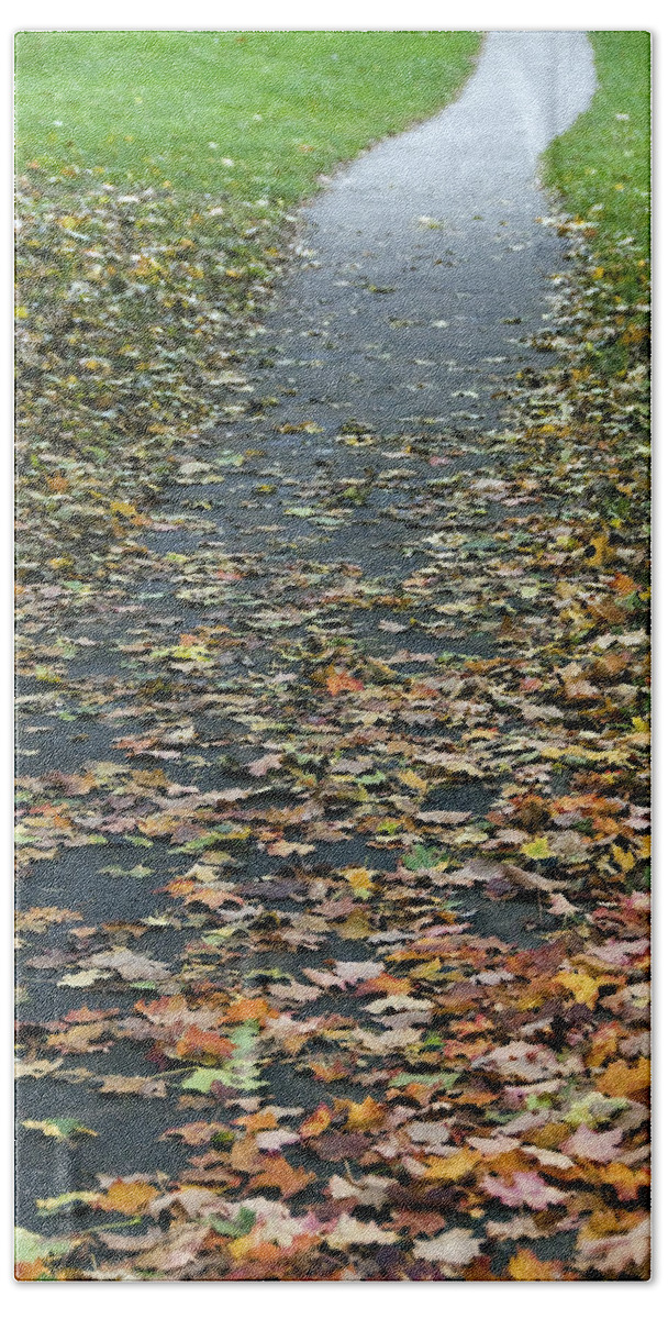 Autumn Beach Sheet featuring the photograph Monarch Park - 535 by Rick Shea