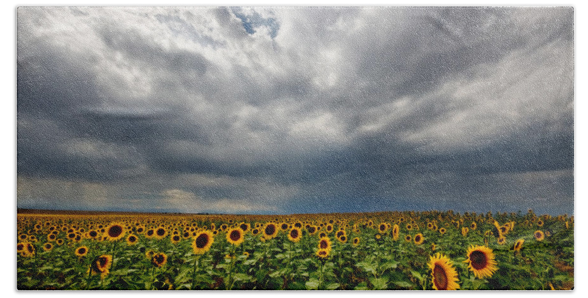 Sunflower Beach Towel featuring the photograph Moody Skies over the Sunflower Fields by Ronda Kimbrow