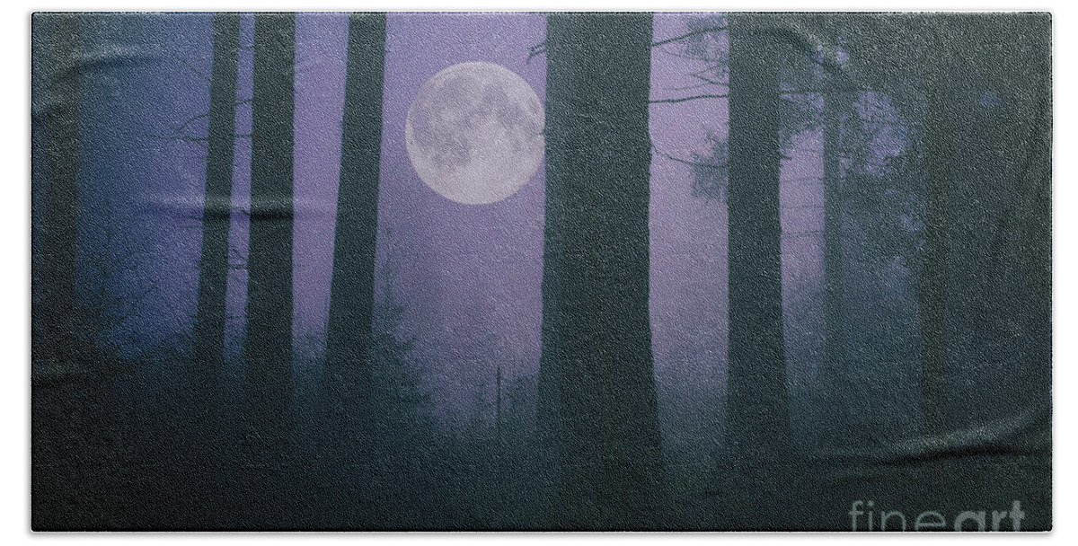 Landscape Beach Towel featuring the photograph Moon and Fog in a Forest by Sabine Jacobs