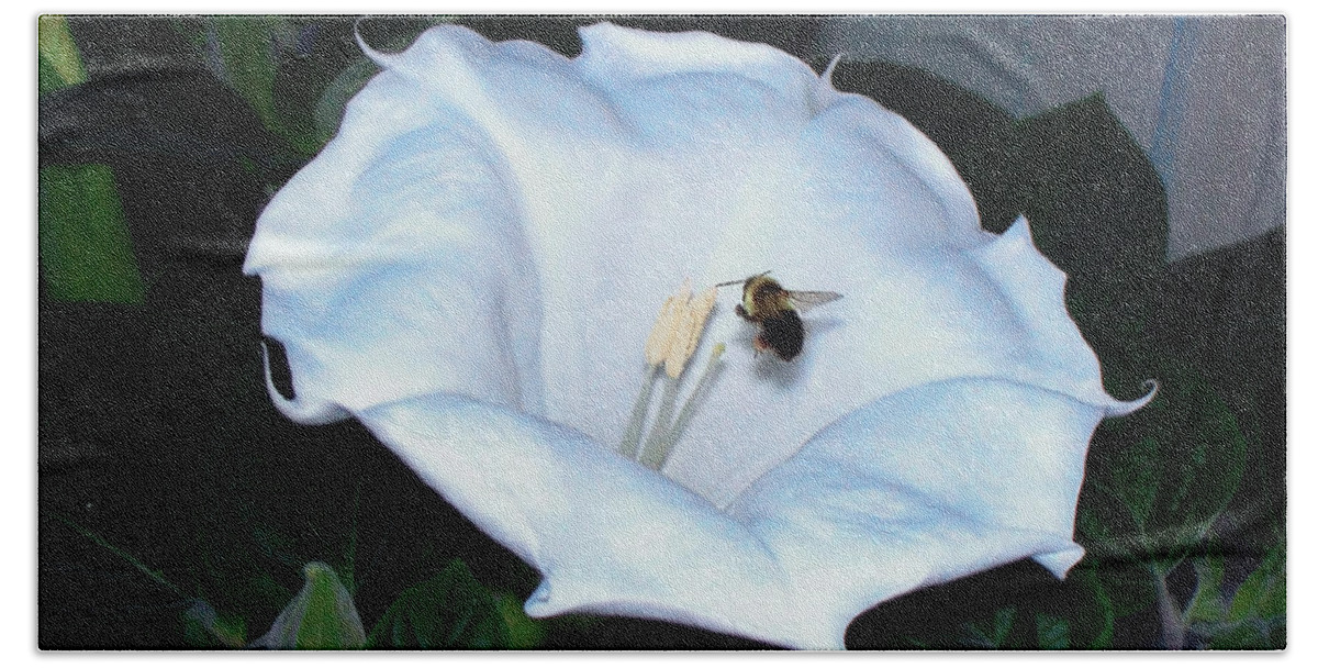 Moon Flower Beach Towel featuring the photograph Moon Flower by Thomas Woolworth