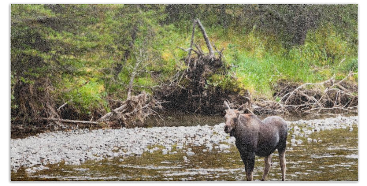 Wyoming Beach Sheet featuring the photograph Moose in Yellowstone National Park  by Lars Lentz