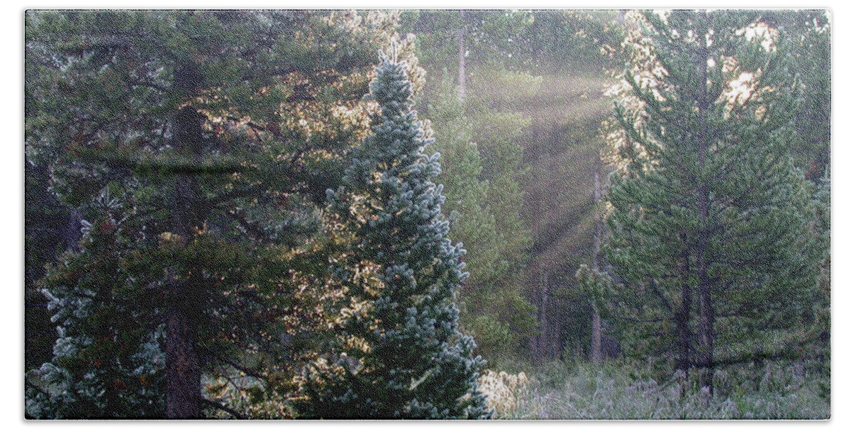 Sunrays Beach Towel featuring the photograph Morning Rays by Shane Bechler