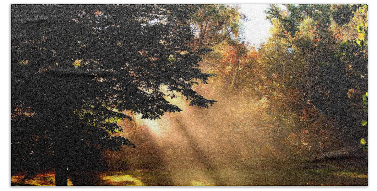 Autumn Beach Towel featuring the photograph Morning Sunshine by Linda Cox