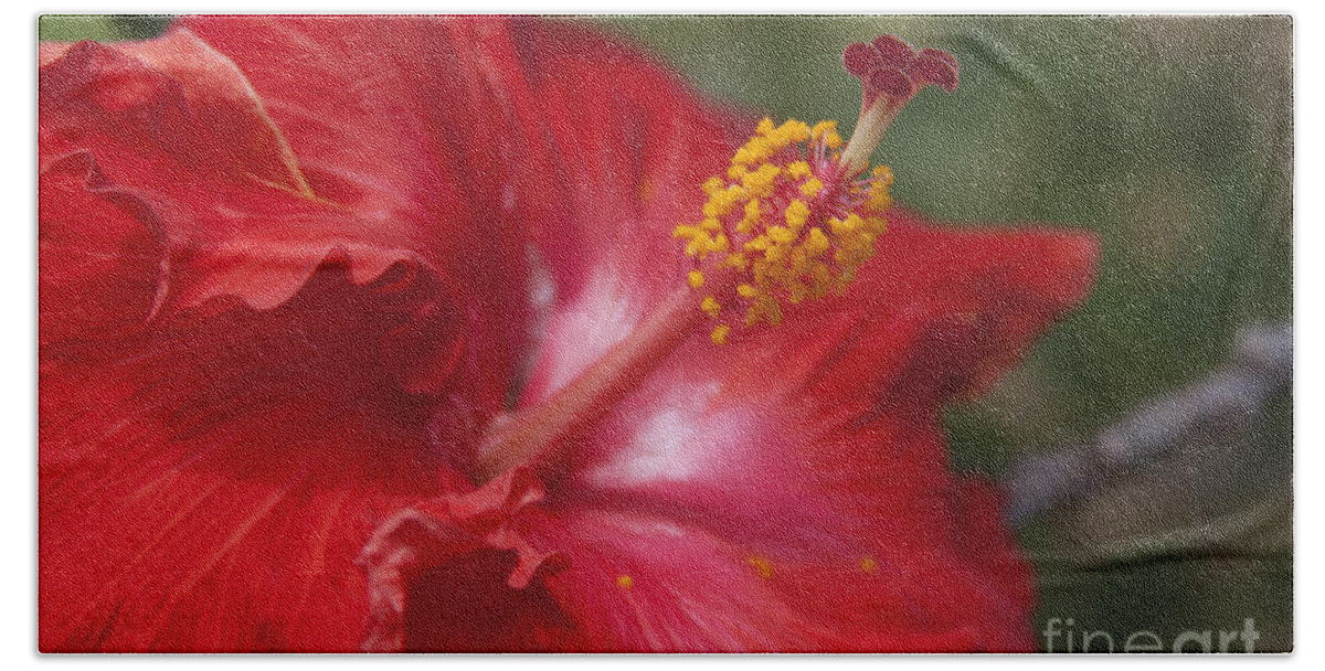 Aloha Beach Towel featuring the photograph Morning Whispers by Sharon Mau