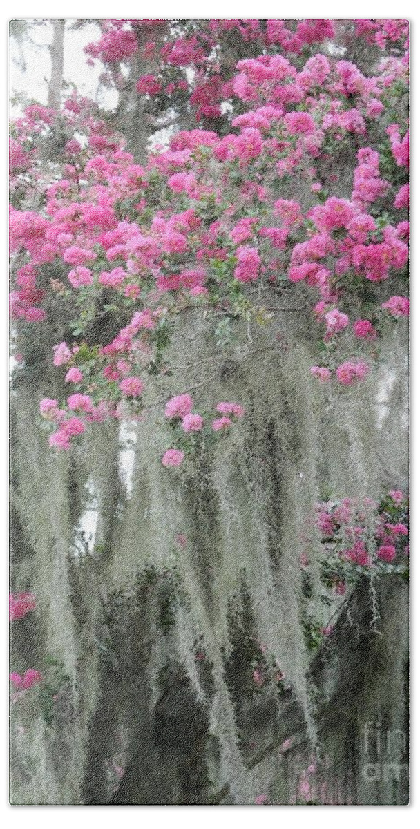 Crepe Myrtle Beach Towel featuring the photograph Moss Draped Crepe Myrtle Capitol Park Baton Rouge Louisiana by Lizi Beard-Ward