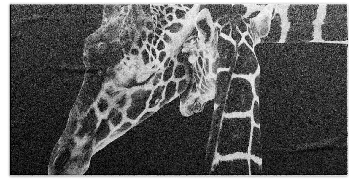 3scape Photos Beach Towel featuring the photograph Mother and Baby Giraffe by Adam Romanowicz