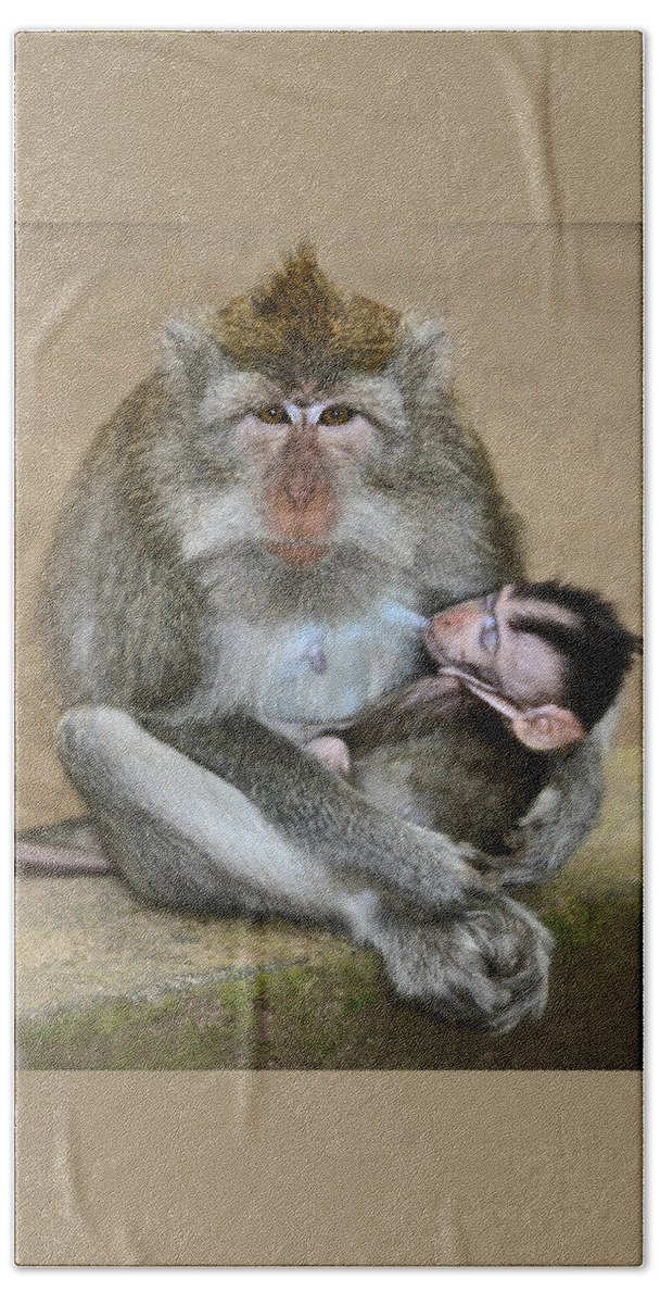 Monkeys Beach Towel featuring the photograph Mother Macaque and her Baby by Venetia Featherstone-Witty