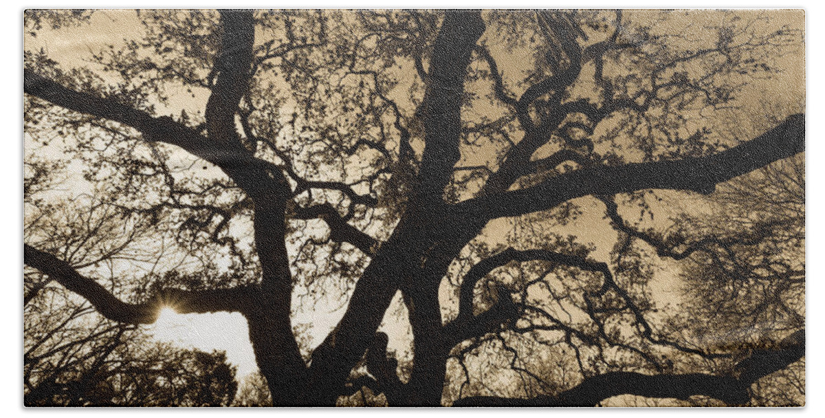 Austin Beach Towel featuring the photograph Mother Nature's Design by John Wadleigh