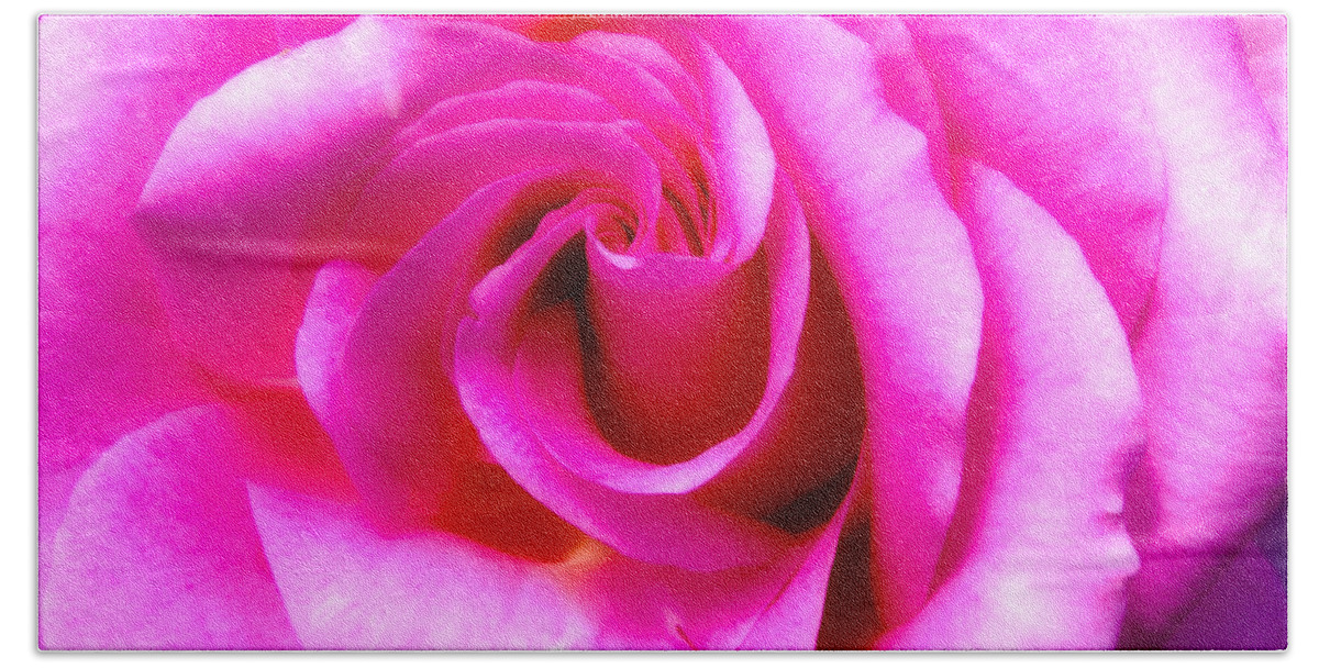 Mother's Day Beach Towel featuring the photograph Mother's Day Rose Blank by Mark Andrew Thomas