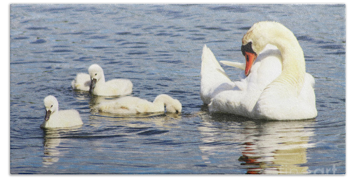 Swan Beach Sheet featuring the photograph Mute Swans by Alyce Taylor