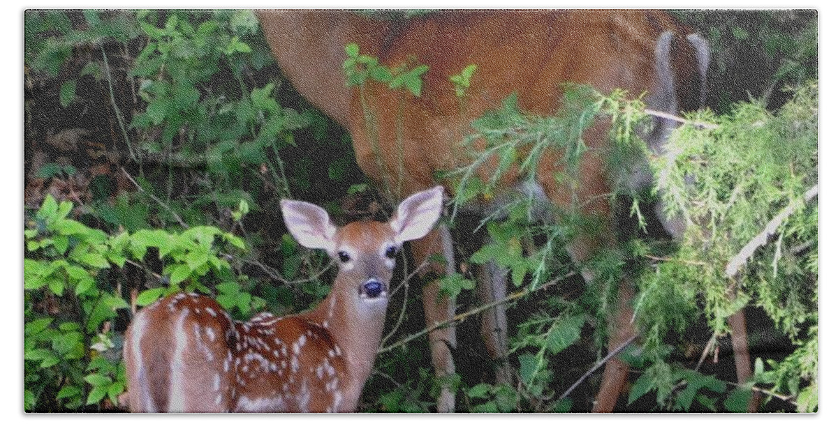 Deer Beach Towel featuring the photograph My Baby by Deena Stoddard