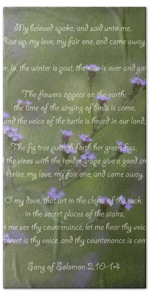 Song Of Solomon Beach Sheet featuring the photograph My Beloved Spoke - Purpletop Vervain Verbena bonariensis by Kathy Clark