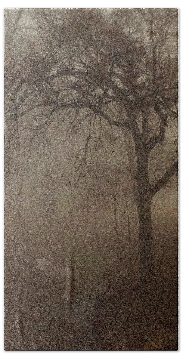 Fog Beach Sheet featuring the photograph Mystic Forest 004 by Robert ONeil