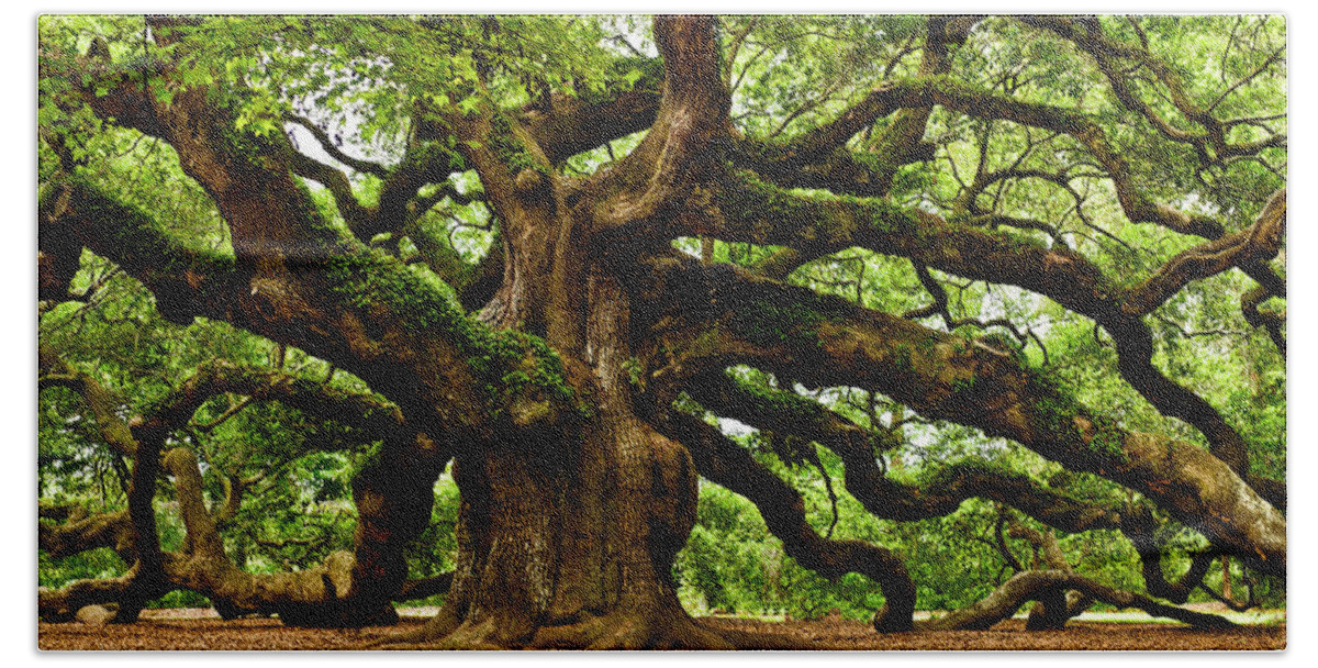  Johns Island Beach Towel featuring the photograph Mystical Angel Oak Tree by Louis Dallara