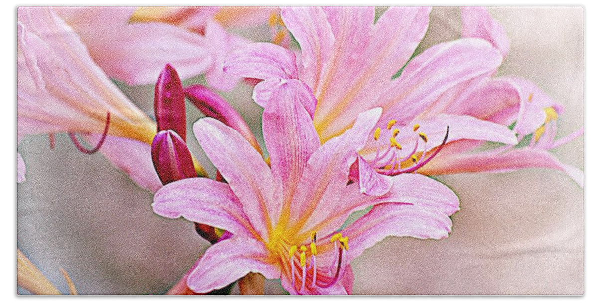 Pink Lilies Beach Towel featuring the photograph Naked Ladies or Surprise Lilies by Karen McKenzie McAdoo