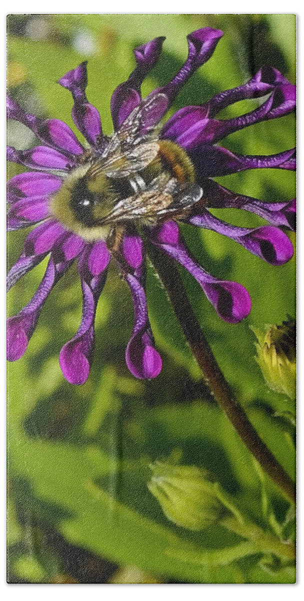 Purple Beach Towel featuring the photograph Nature At Work by Shanna Hyatt