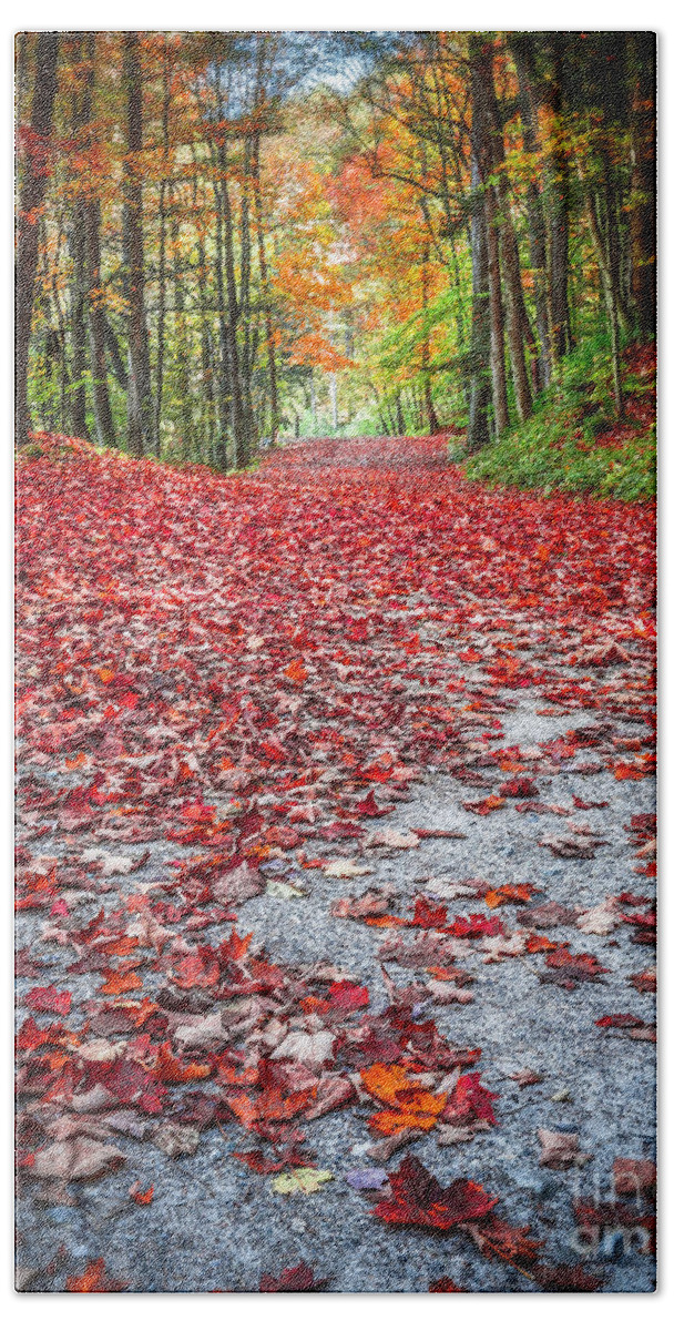 Fall Beach Sheet featuring the photograph Nature's Red Carpet by Edward Fielding
