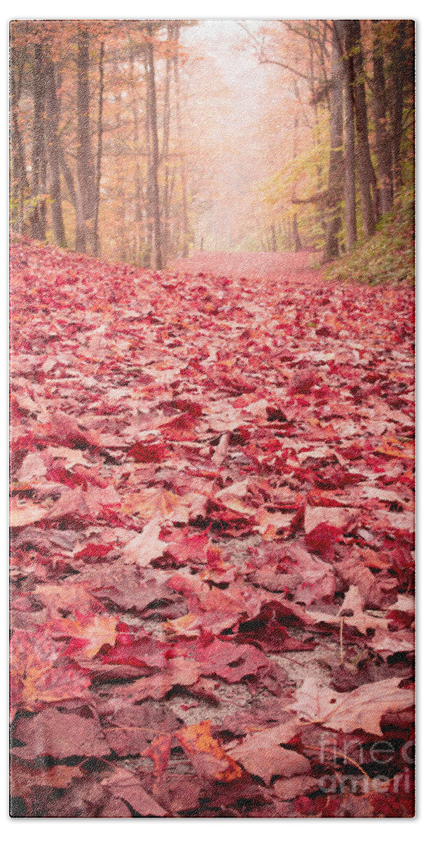 Vermont Beach Sheet featuring the photograph Nature's Red Carpet Revisited by Edward Fielding