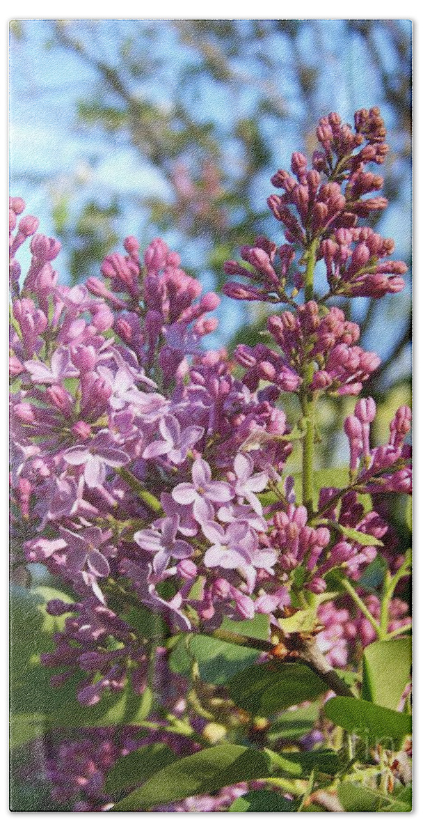 Purple Beach Sheet featuring the photograph Purple Lilac by Eunice Miller