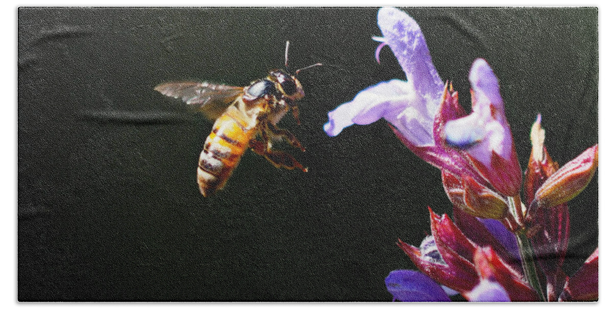 Bees Beach Towel featuring the photograph New Rider of the Purple Sage by Joe Schofield