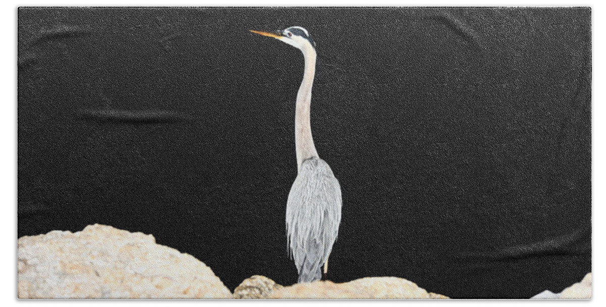 Blue Heron Beach Sheet featuring the photograph Night of the Blue Heron by Anthony Baatz
