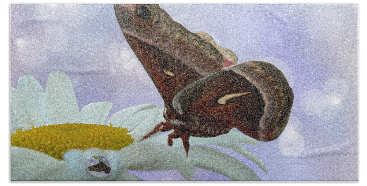 Silk Moth Beach Towel featuring the photograph Nights in White Silk by Barbara St Jean
