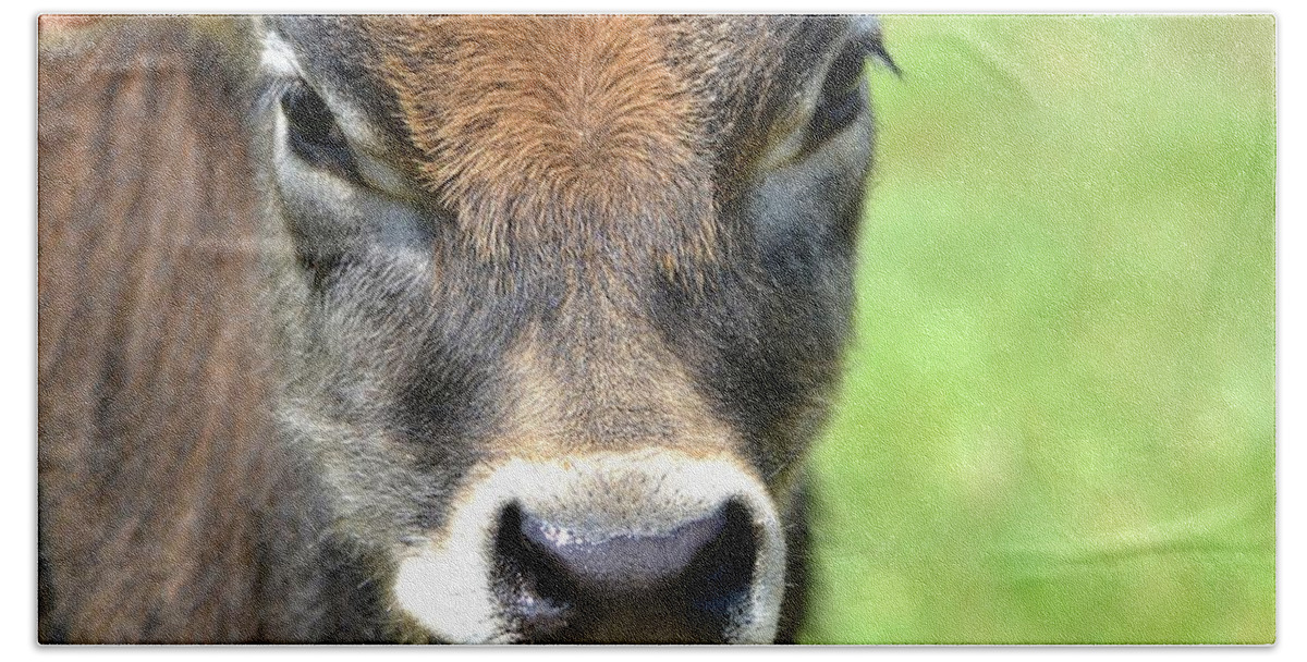 Bull Beach Towel featuring the photograph No Bull by Deena Stoddard