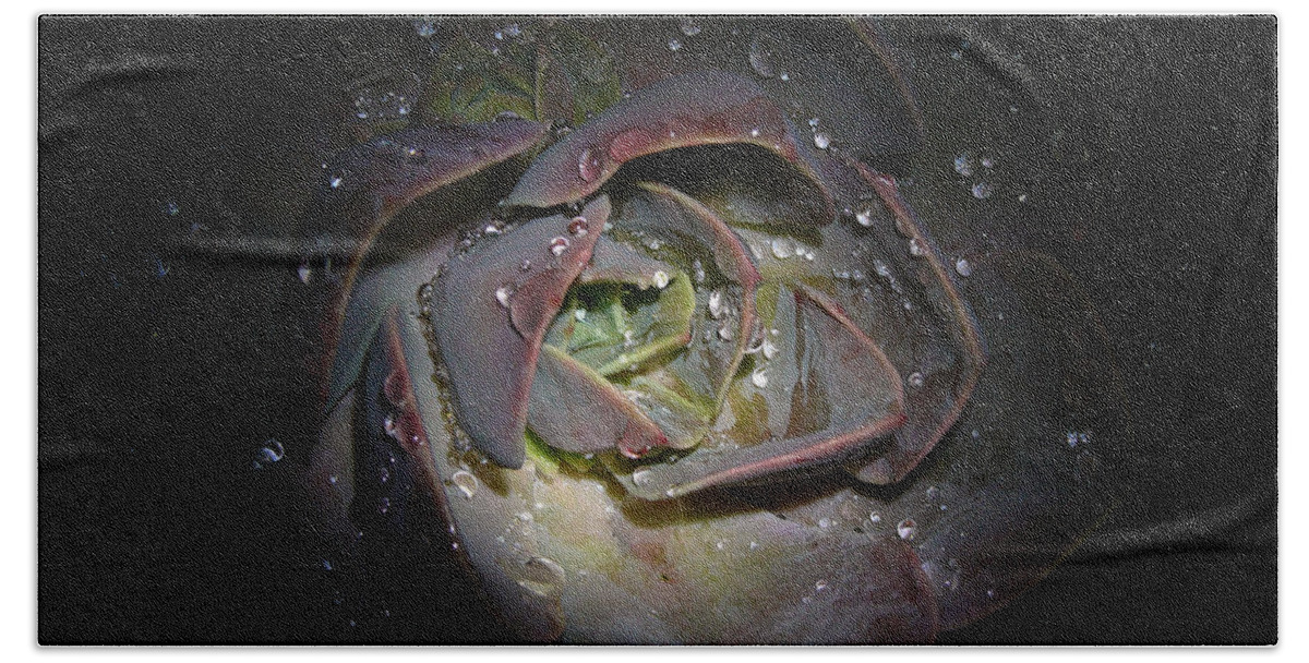 Succulent Beach Sheet featuring the photograph Nocturnal Diamonds by Evelyn Tambour