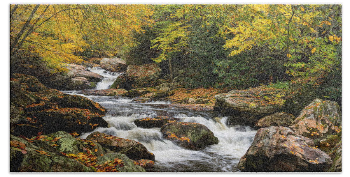 Highlands Beach Towel featuring the photograph North Carolina Highlands NC Autumn River Gorge by Dave Allen