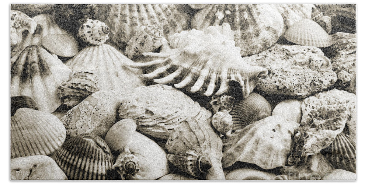 Seashell Beach Towel featuring the photograph Ocean Seashells 1 B W by Andee Design