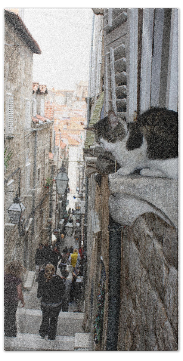 Old Town Beach Sheet featuring the photograph Old Town Alley Cat by David Nicholls