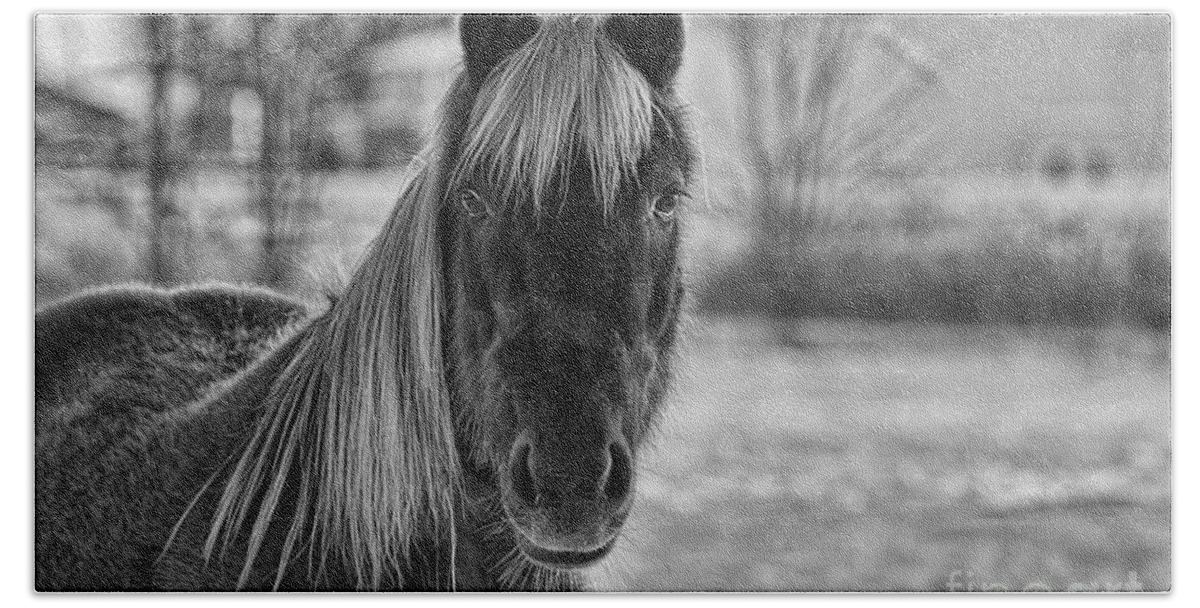Horse Beach Towel featuring the photograph Olivias Horse Black and White by David Arment